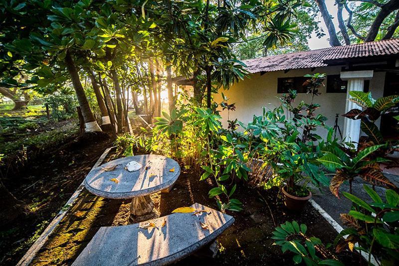 Hotel Hibiscus Cabina 4 Playa Junquillal Экстерьер фото
