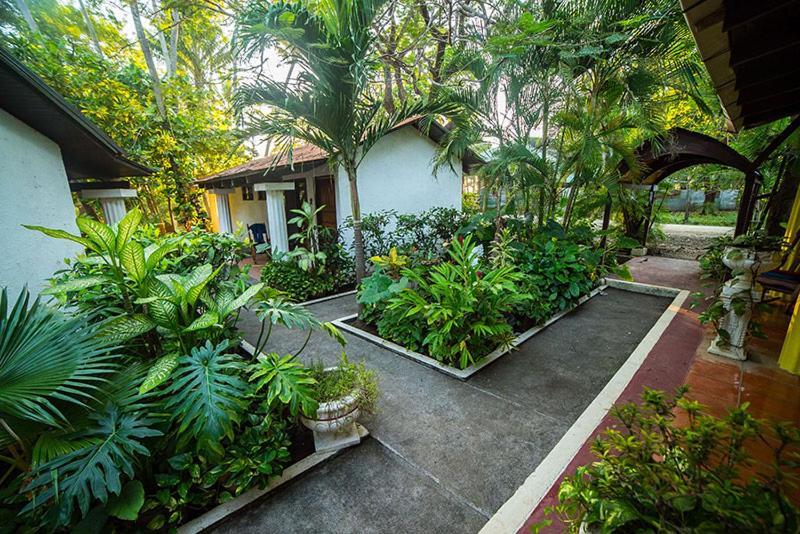 Hotel Hibiscus Cabina 4 Playa Junquillal Экстерьер фото